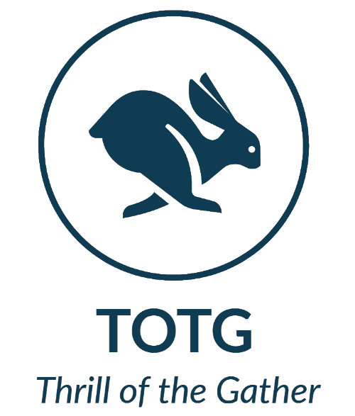 Contact Thrill of the Gather to get help with digital strategy or website support