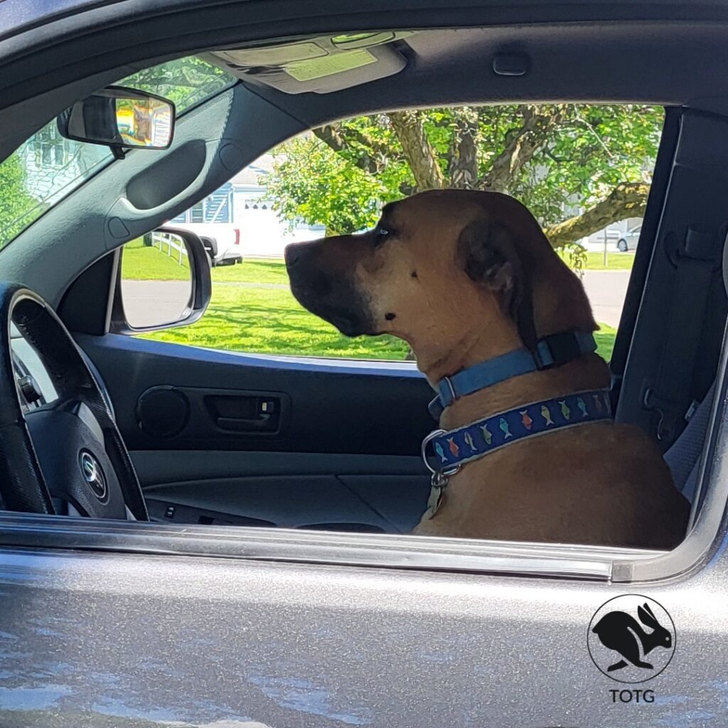 Jethro sitting in the driver’s seat looking out the window, introducing a simple explanation of domains, DNS, hosting, websites, and business email.